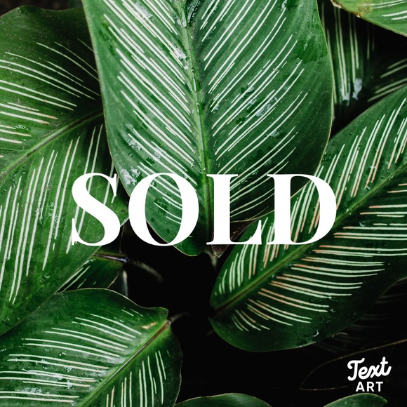 Everything below this has already sold! - Picture 1 of 1